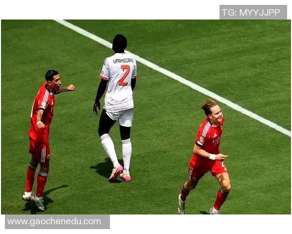 足总杯精彩对决本菲卡与切尔西战成平局十大进球回顾引发全场热议