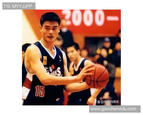姚明的传奇时刻：17盖帽背后的篮球故事与精神传承