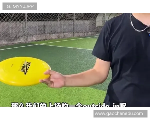 飞盘爱好者必看：从零基础到高手的全面技术指南与实战技巧分享