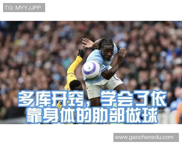 中超精彩对决曼城逆转热刺红牌争议引发全场沸腾十大进球回顾