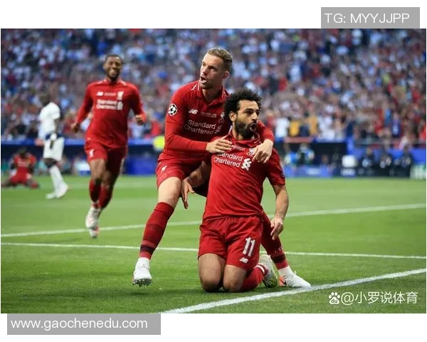 欧冠激战:利物浦逆转那不勒斯全场沸腾赛后精彩点评 欧冠激战:利物浦逆转那不勒斯全场沸腾赛后精彩点评