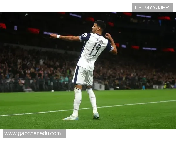 英超激战马竞逆转热刺4-3绝杀瞬间引爆全场回顾十大精彩进球 英超激战马竞逆转热刺4-3绝杀瞬间引爆全场回顾十大精彩进球